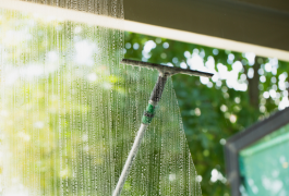 windowcleaning01